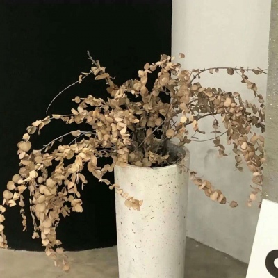 兽设自然元素结合福瑞交流群